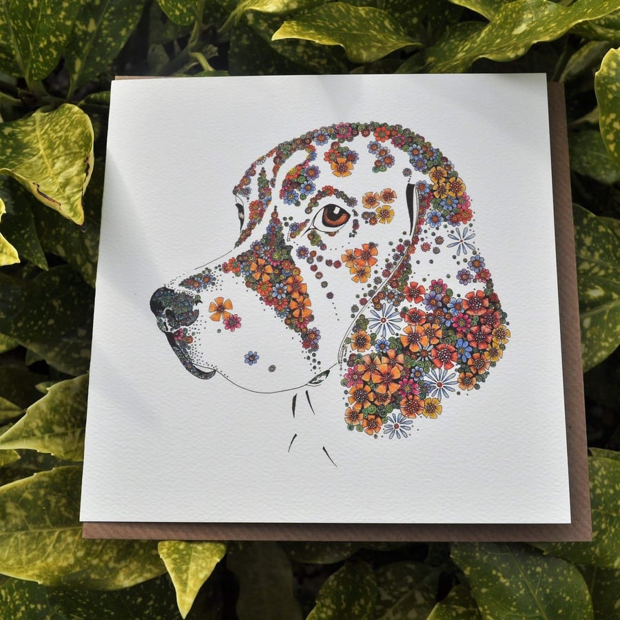 Offer 6 x Beagle Greeting card offer