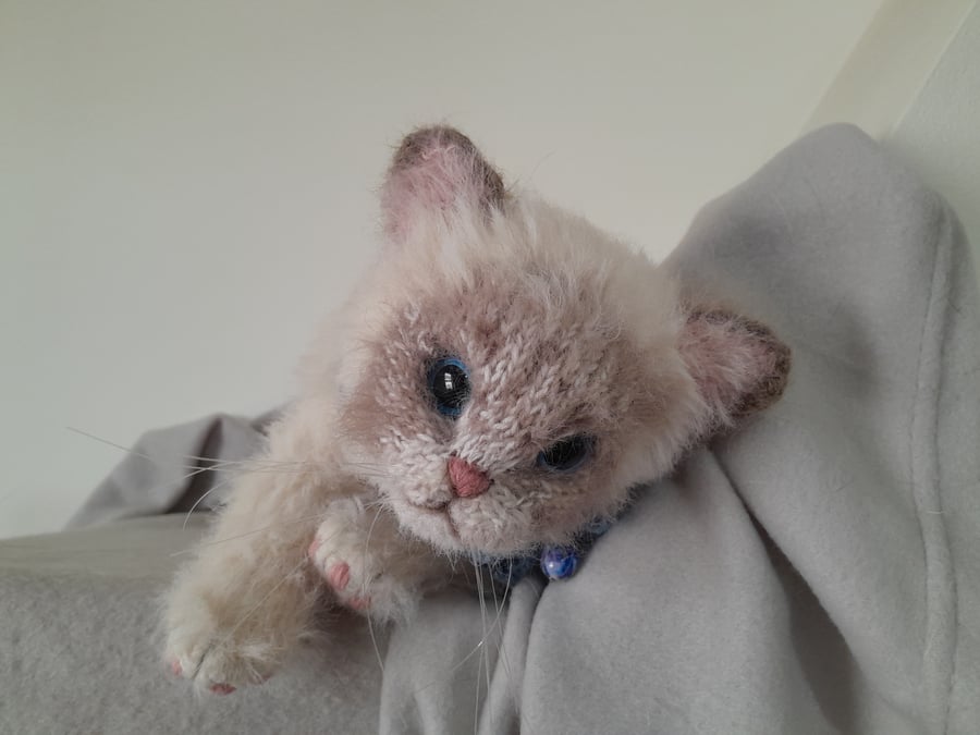 Image of Ragdoll Kitten, dotpebblesknits Design
