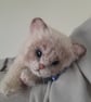 Ragdoll Kitten, dotpebblesknits Design