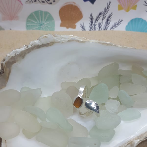 Honey amber sea glass and mussel adjustable 