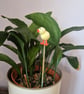 Surprised Chick House Plant Pot Ornament - Pot Pal  - Image 6