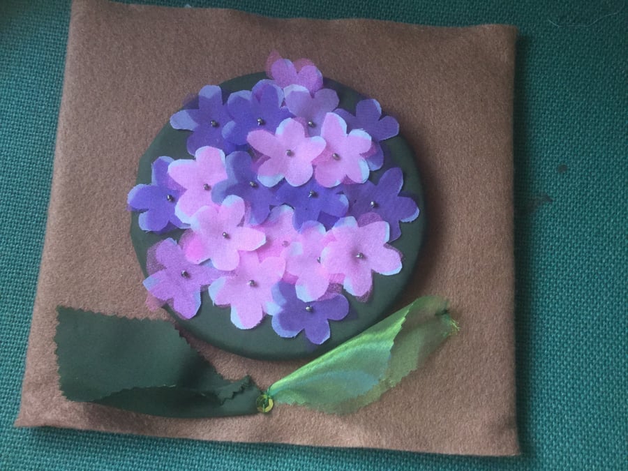 Hydrangea