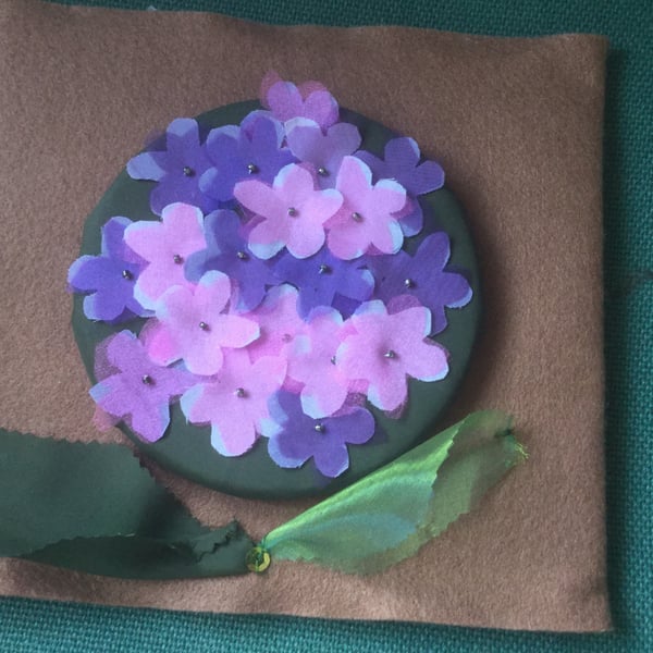 Hydrangea