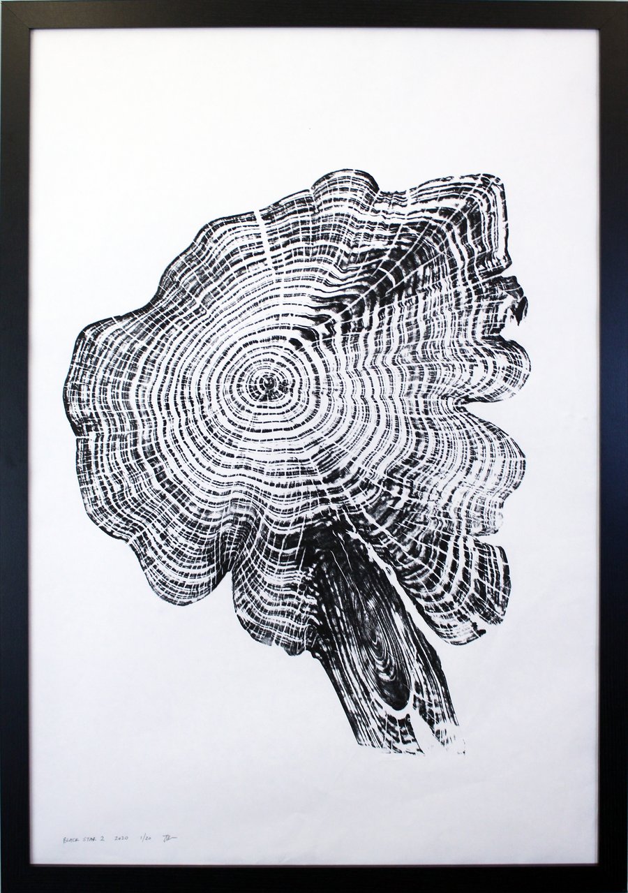 Cedar Star No 2 - Tree Ring Art Print Black Original Wall Art