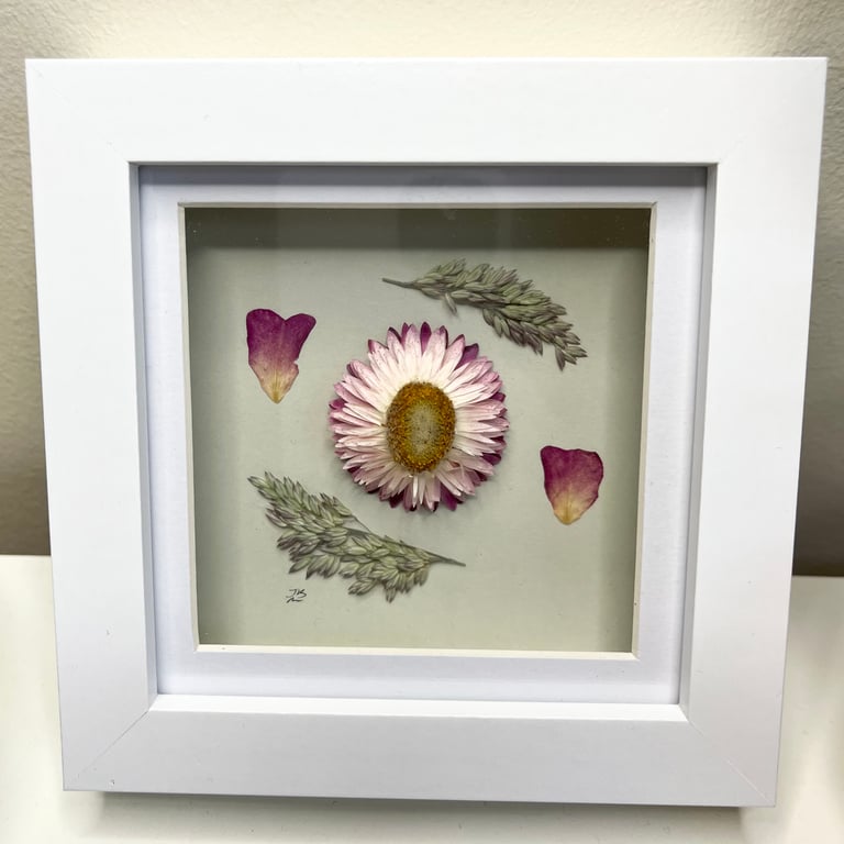 Pressed Rose Petals, Dried Strawflower, Framed Art, Mother’s Day, birthday gift