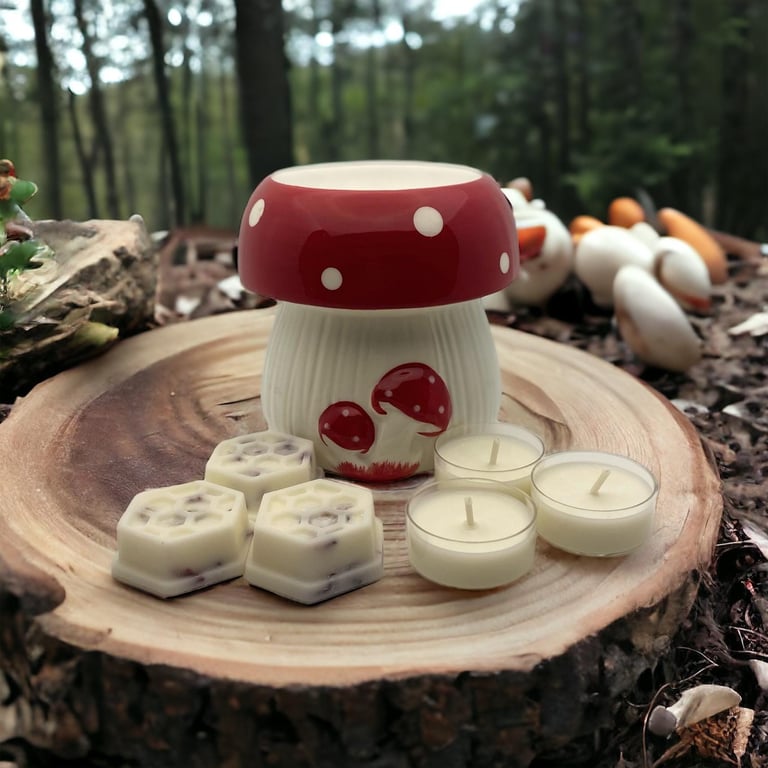 MUSHROOM GIFT SET and starter set