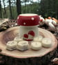 MUSHROOM GIFT SET and starter set - Image 1
