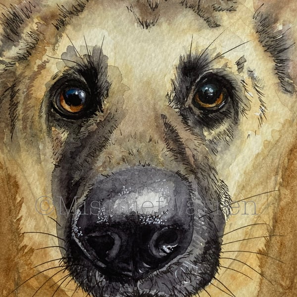 Small Watercolour Original Painting of German Shepherd Dog for 6" Frame