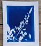 Cyanotype Botanical Print No. 3 - Image 2