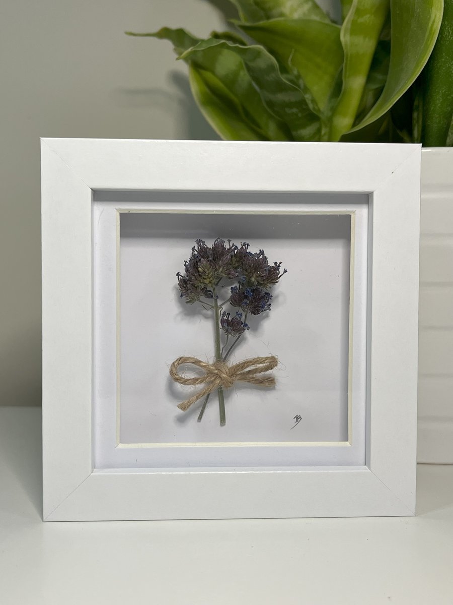 Framed Dried Flowers Real Botanical Art