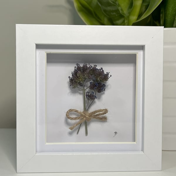 Framed Dried Flowers Real Botanical Art