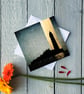 St Mary's Island, Greetings Card - Image 2