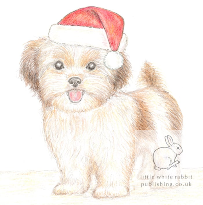 Lizzie the Shih Tzu Cross - Christmas Hat Card