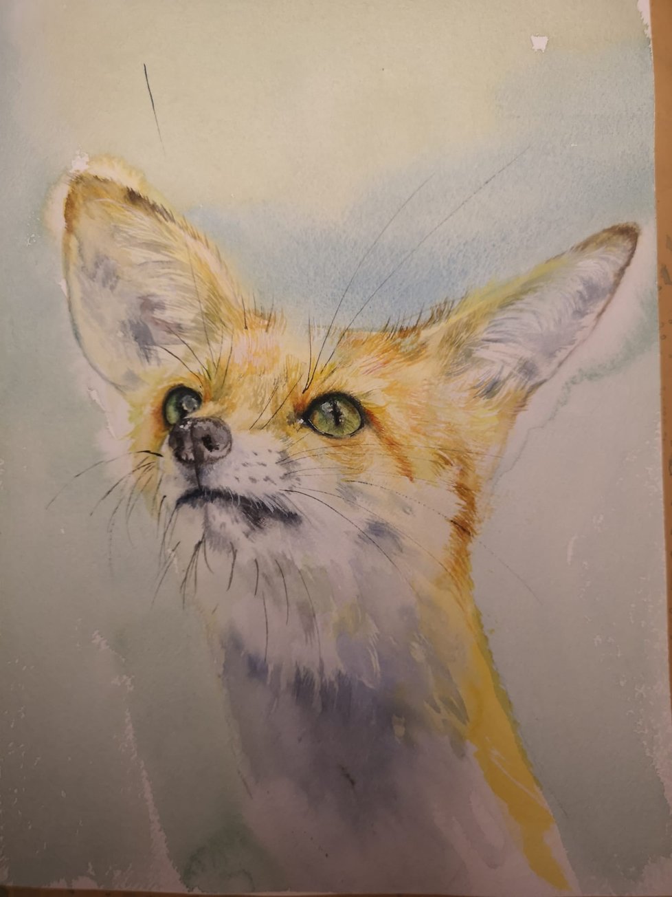 Water Colour Paintings by Kate Bradley