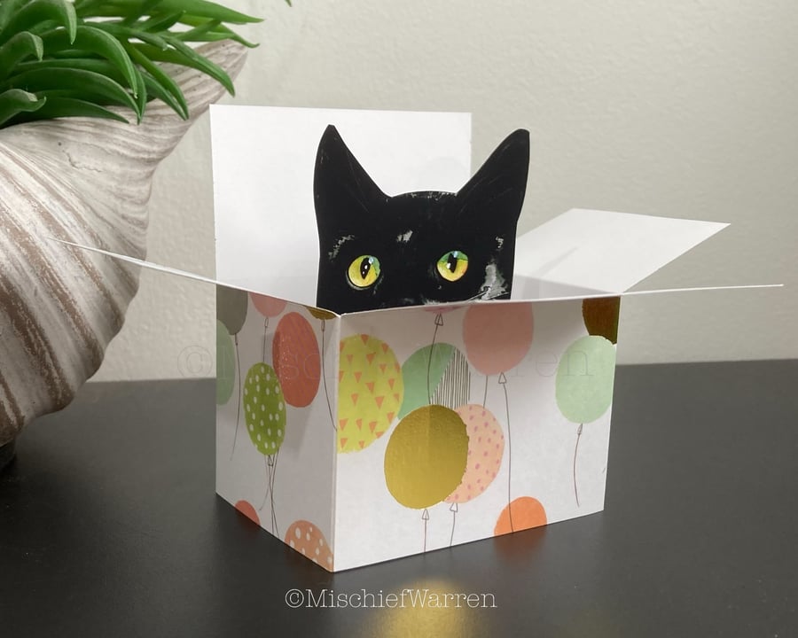 Black Cat Card. The Original Cat in a box card or 3D Birthday Gift card holder.