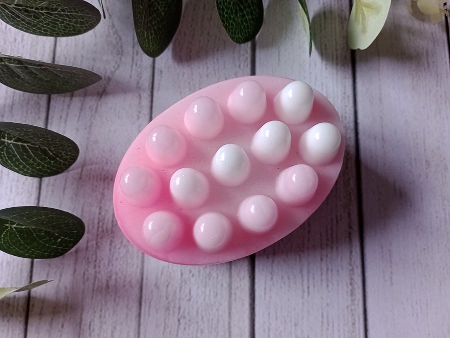 Hibiscus & Coconut Water Soap