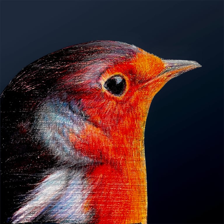 Robin Printed Wooden Block with Velvet Bow Art