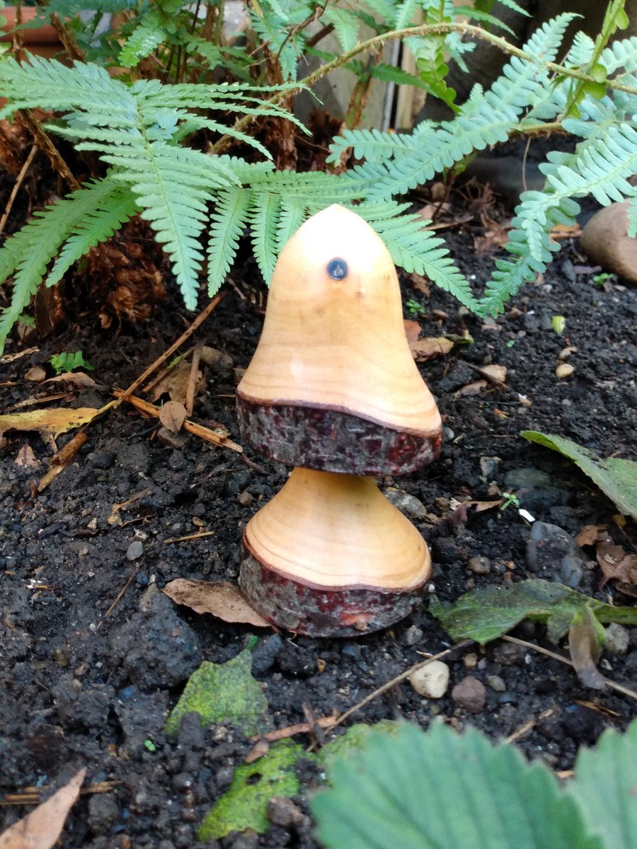 Woodland Mushroom Decoration and Forest Fairy House  