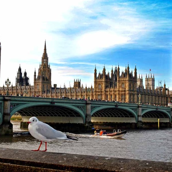 Big Ben Houses of Parliament Westminster Bridge London Photograph Print