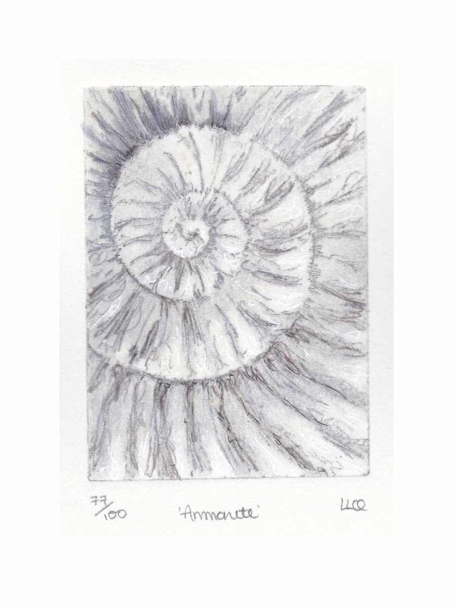 Etching no.77 of an ammonite fossil with mixed media in an edition of 100