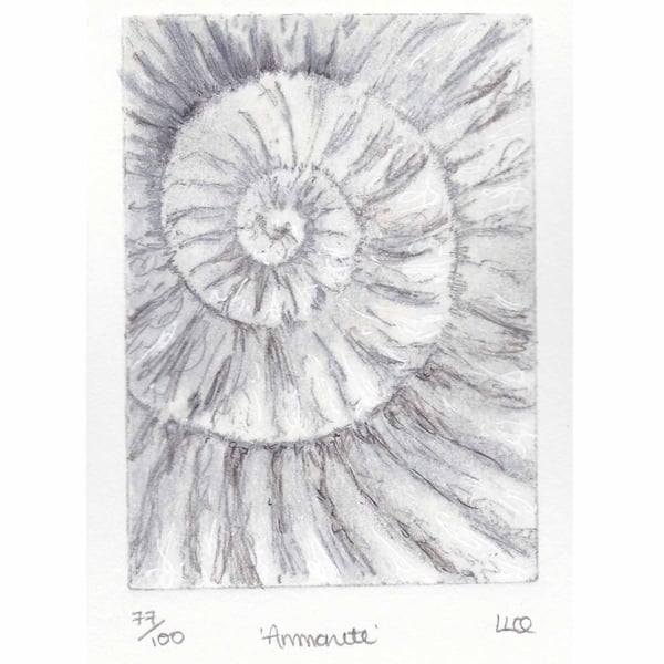 Etching no.77 of an ammonite fossil with mixed media in an edition of 100