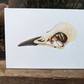 Bird Skull Painting 