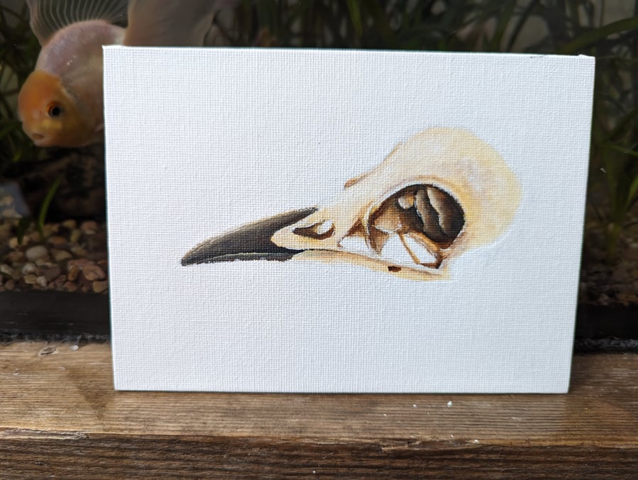 Bird Skull Painting 