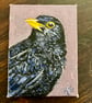ACEO blackbird original miniature painting  - Image 3