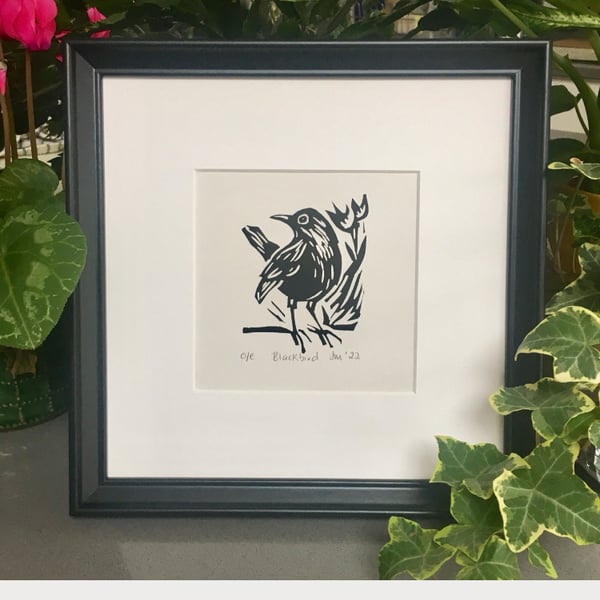 Blackbird