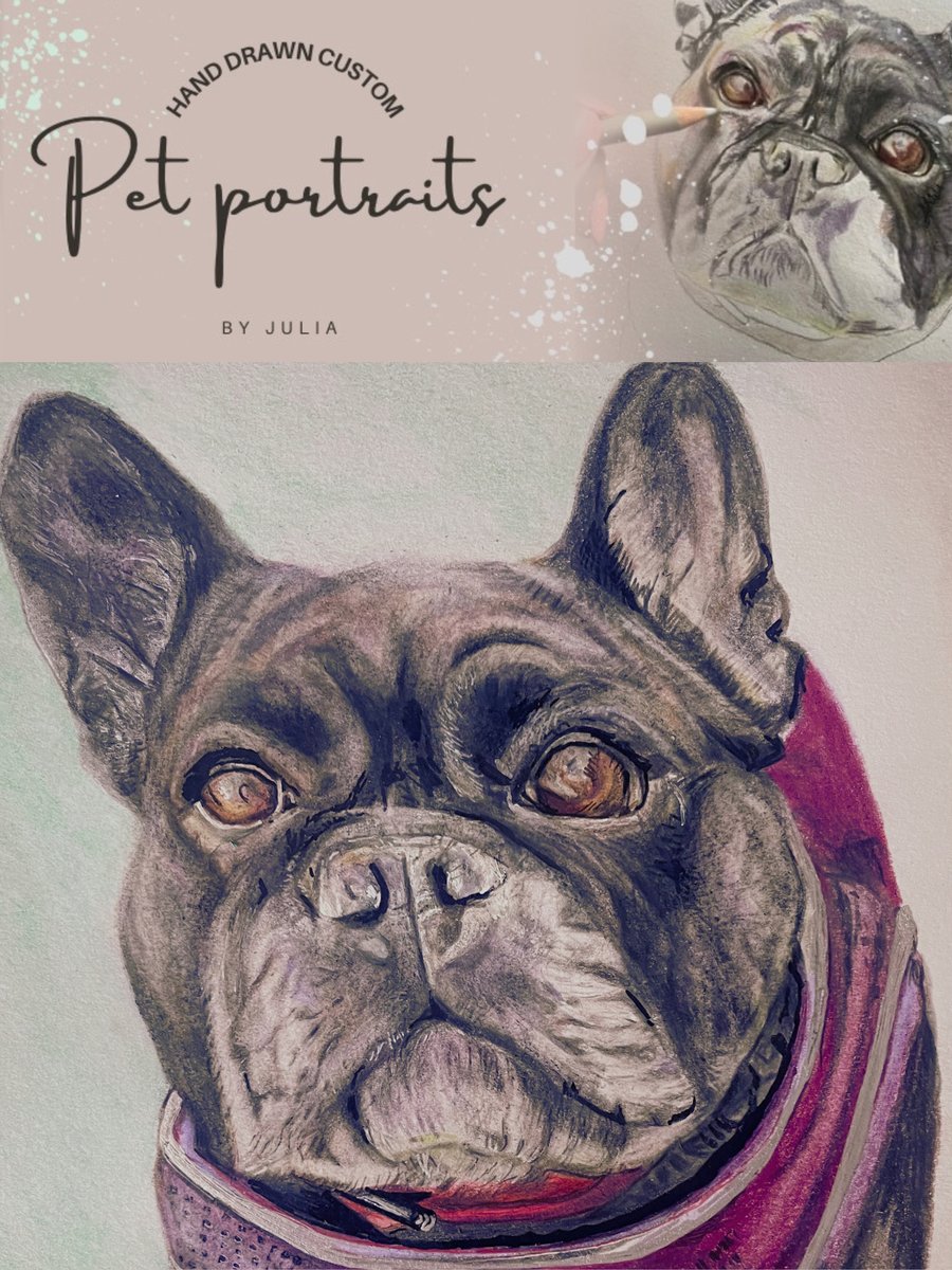 Custom pet portraits - Hand drawn 