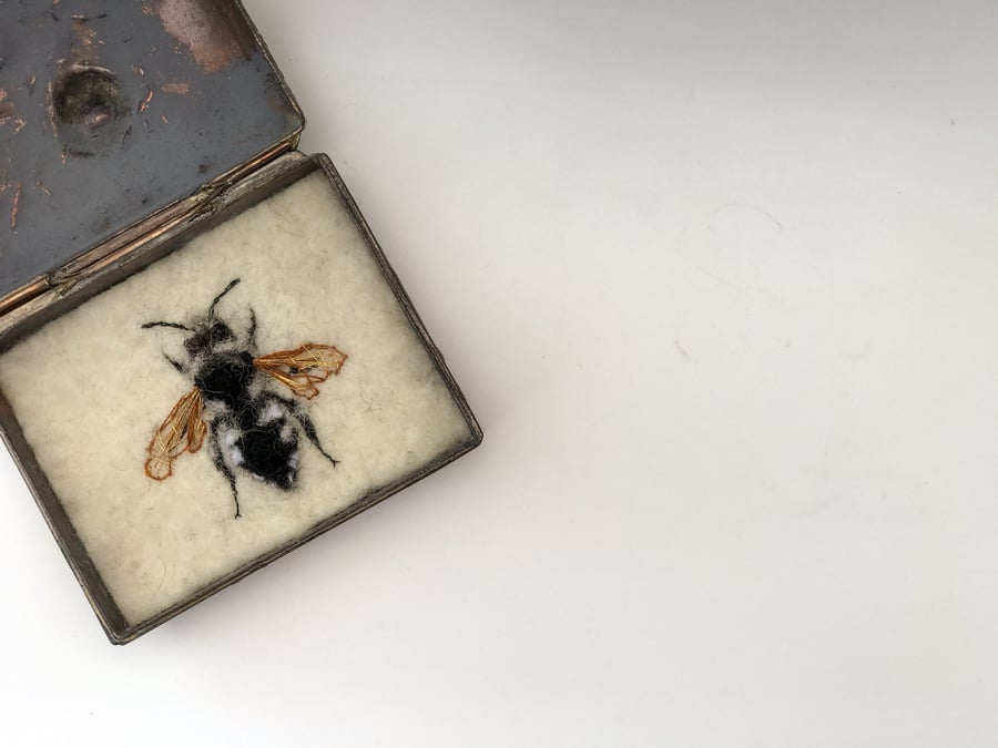 Bee Art Print - Print of the Common Mourning Bee - exhibition quality 