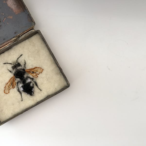 Bee Art Print - Print of the Common Mourning Bee - exhibition quality 