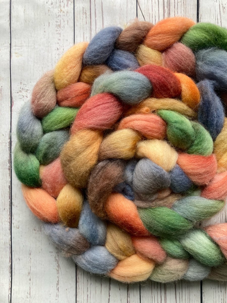 BFL spinning fibre 100g Campfire tales