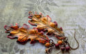 Oak Leaf Jewellery