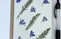Pressed Flower Greeting Cards