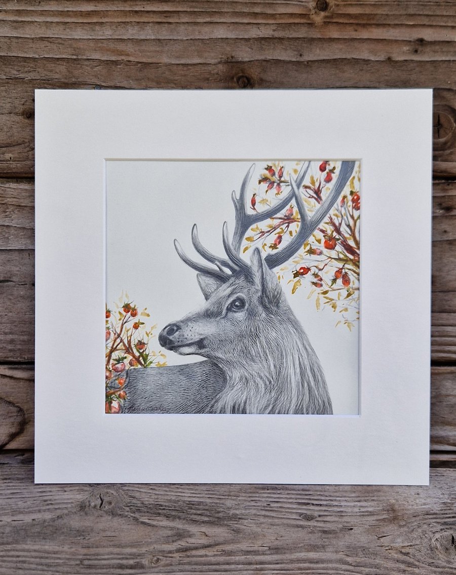 Winter Deer (2021)