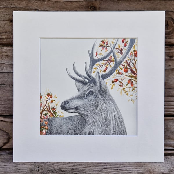 Winter Deer (2021)