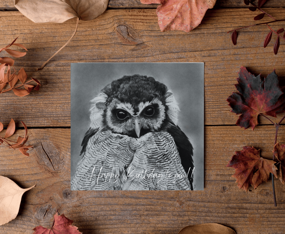 Customisable Owl Card, Illustrated Front with Story Inside