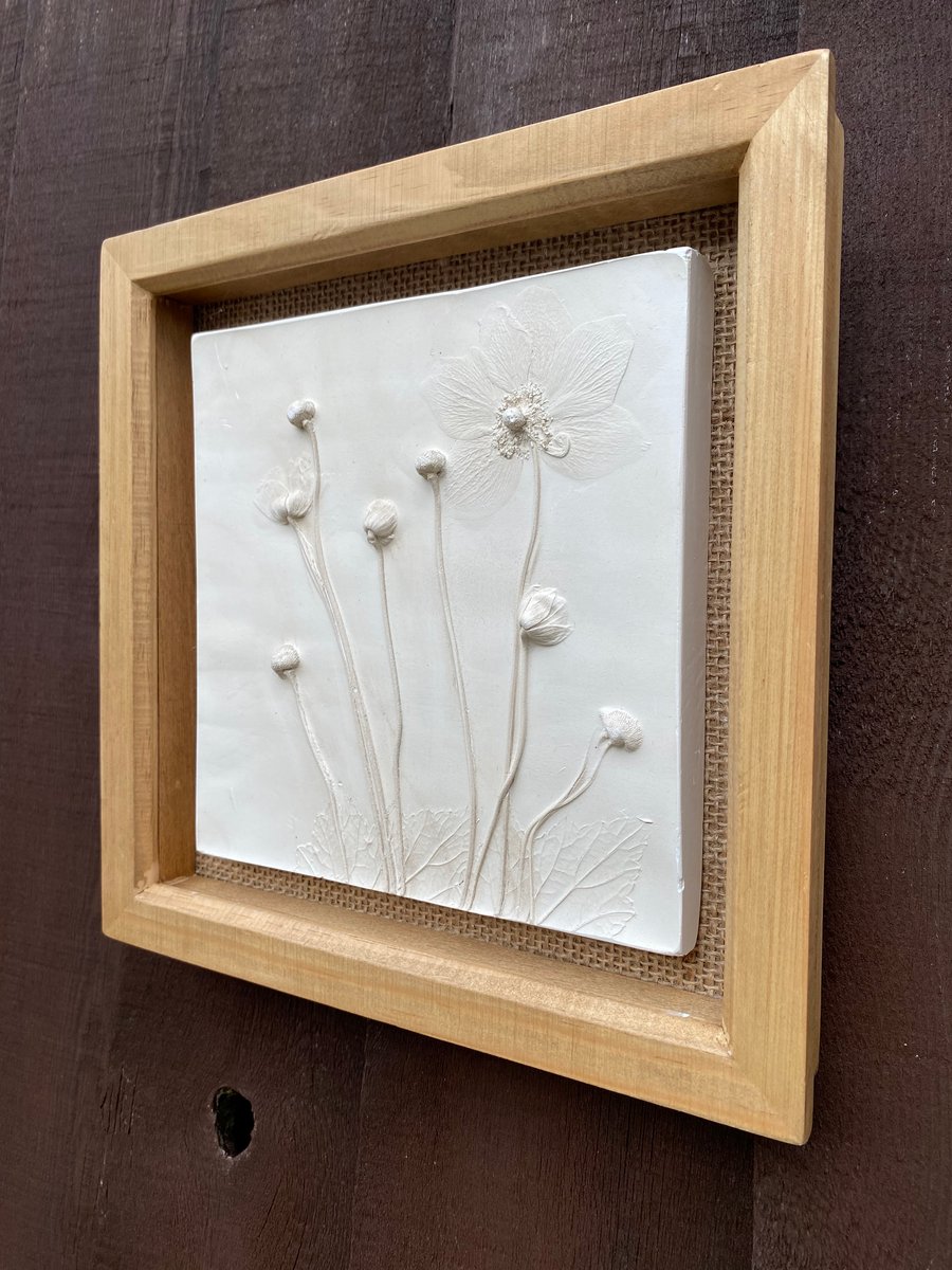 Framed Botanical Cast of Anemones 