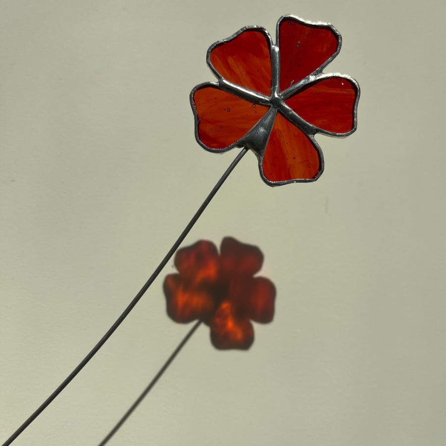 August birth flower, stained glass poppy