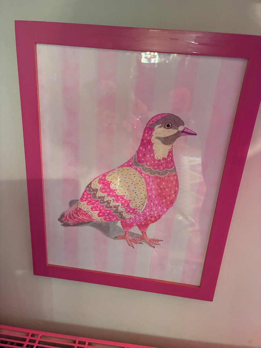 Funky pink pigeon