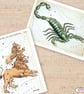 12 Printed Constellation Notecards, astrological symbols - Image 5