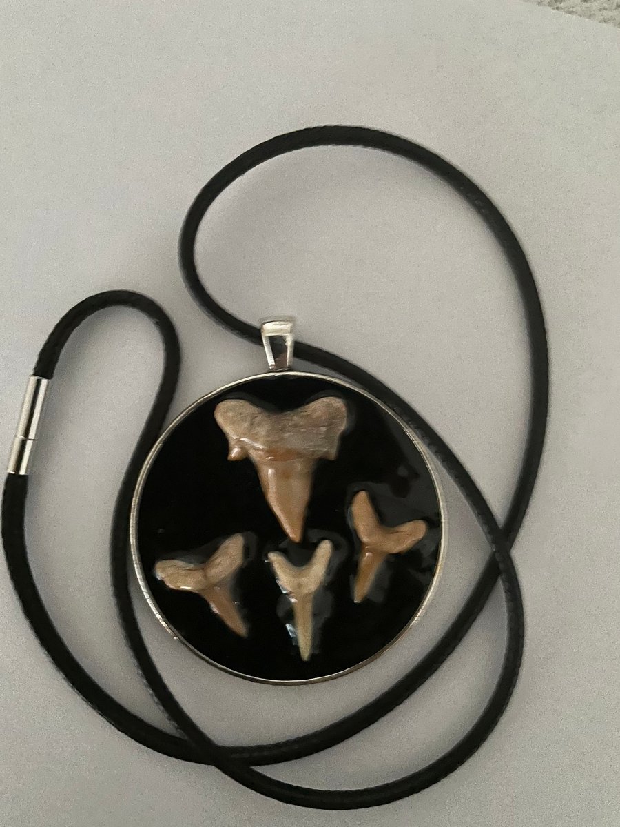 Real Sharks teeth pendant  set in resin