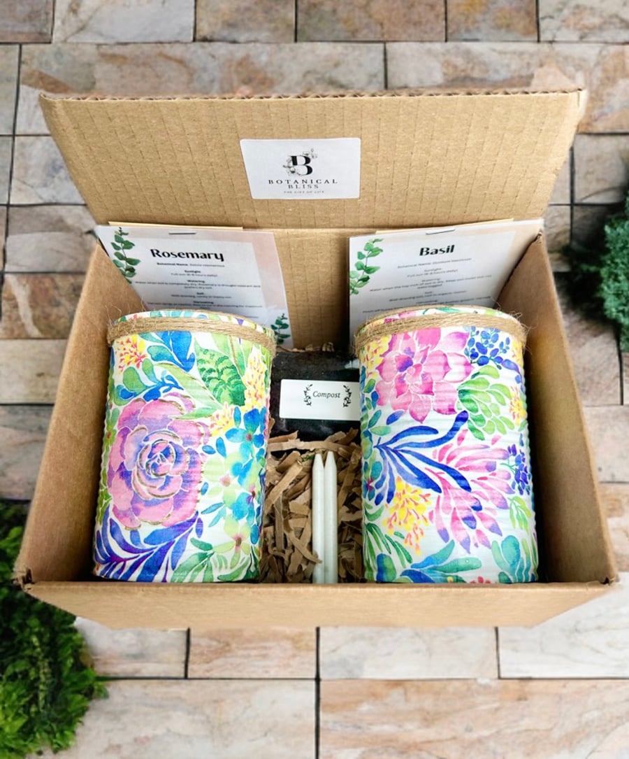 Grow your own herbs gift set indoor house planters pastel bloom succulent pots