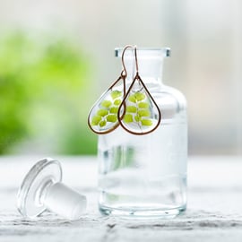 Maidenhair Fern Clear Resin Copper Teardrop Earrings