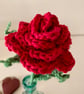 Single red rose in an antique bottle - Image 2