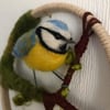Blue tit wool bird needle felted hoop