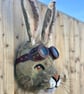 Handmade Mr Biker Hare with vintage leather goggles a real character 