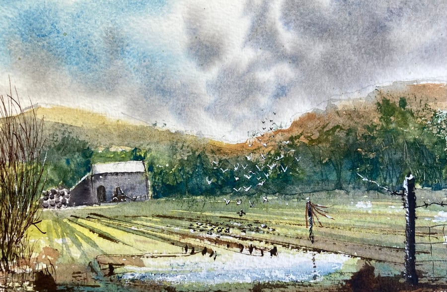 Ingleby plantation (Pure Original Watercolour FULLY MOUNTED 8” x 6”)