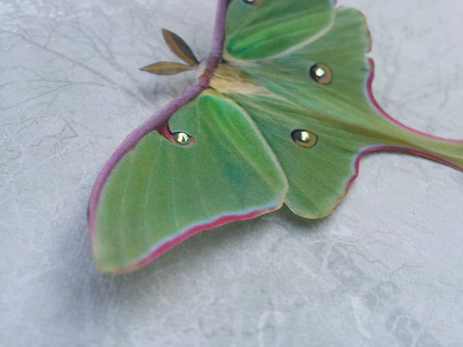 Silk Luna Moth hair clip with Swarovski Crystals. 